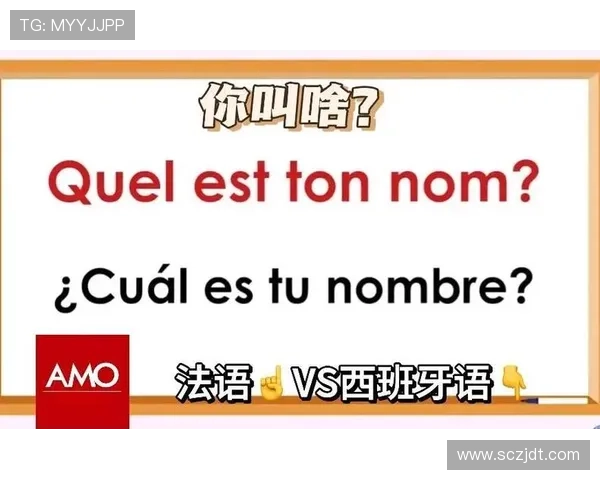 世界杯西语受限语言规则引争议